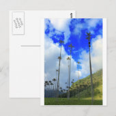 Carte Postale Palmiers de cire Cocora valley Colombie (Devant / Derrière)