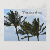 Carte Postale Palmiers de Kauai Hawaii (Devant)