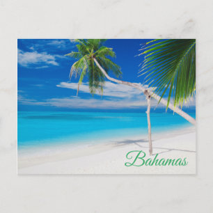Carte Postale Palmiers de plage Tropical Blue Exotic Bahamas