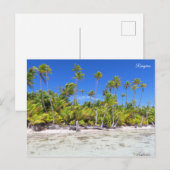 Carte Postale Palmiers de Rangiroa (Devant / Derrière)