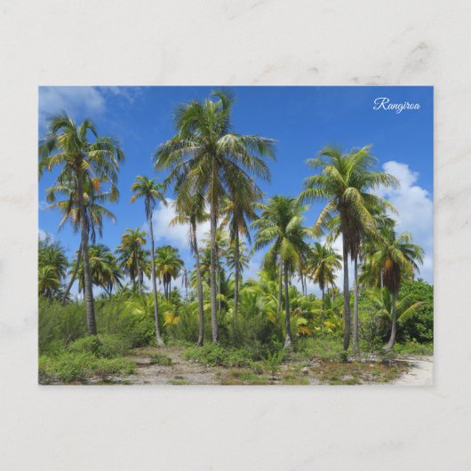 Carte Postale Palmiers de Rangiroa (Devant)
