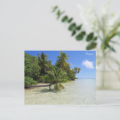 Carte Postale Palmiers de Rangiroa (Debout devant)