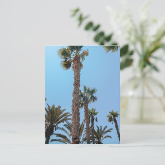Carte Postale Palmiers d'été (Debout devant)