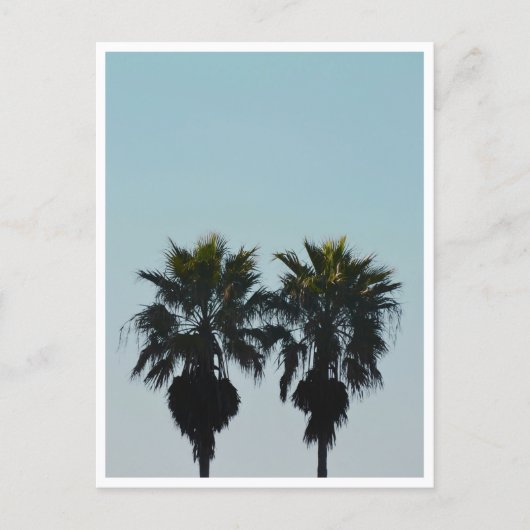 Carte Postale Palmiers d'été (Devant)