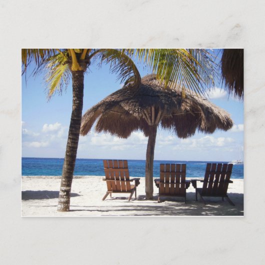Carte Postale Palmiers et chaises Mexico Beach (Devant)