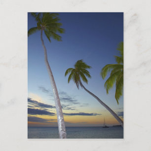 Carte Postale Palmiers et coucher de soleil, Plantation Island R