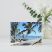 Carte Postale Palmiers et jetée à Belize (Debout devant)