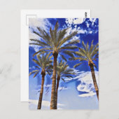 Carte Postale Palmiers hauts (Devant / Derrière)