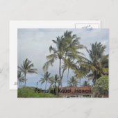 Carte Postale Palmiers hawaïens (Devant / Derrière)