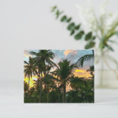 Carte Postale Palmiers Hawaiian Exotic Beach (Debout devant)