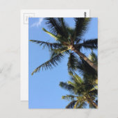 Carte Postale Palmiers Hawaiian Exotic Beach (Devant / Derrière)