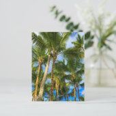 Carte Postale Palmiers Hawaiian Exotic Beach (Debout devant)