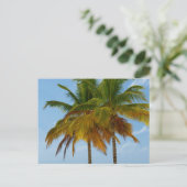 Carte Postale Palmiers Hawaiian Exotic Beach (Debout devant)