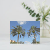 Carte Postale Palmiers jumeaux (Debout devant)