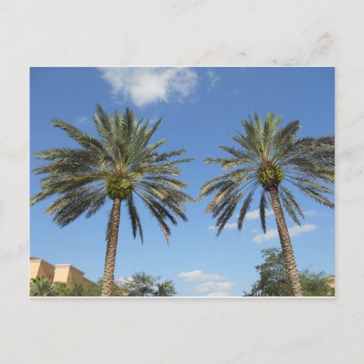 Carte Postale Palmiers jumeaux (Devant)