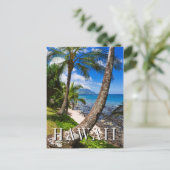 Carte Postale Palmiers le long de la plage de Hideaways (Debout devant)