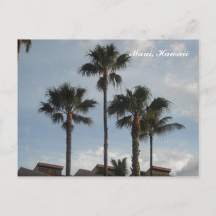 Carte Postale Palmiers Maui Hawaii