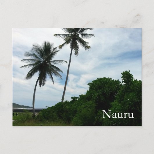Carte Postale palmiers nauru (Devant)