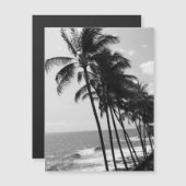 Carte postale Palmiers noirs et blancs (Devant / Derrière)