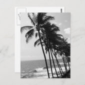 Carte Postale Palmiers noirs et blancs (Devant / Derrière)
