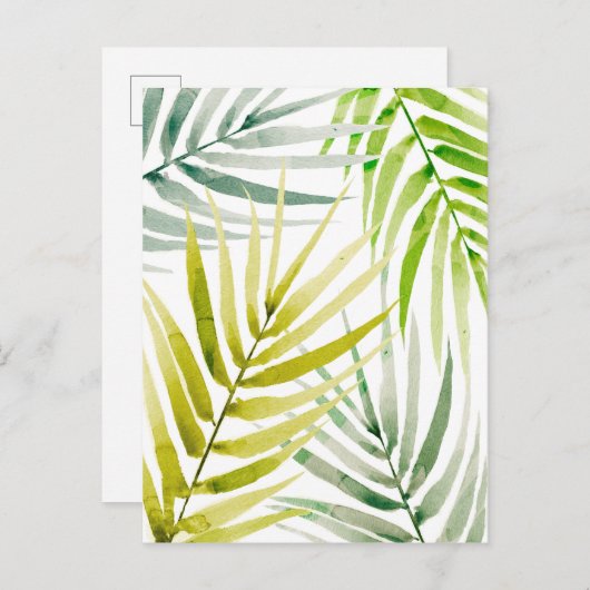 Carte Postale Palmiers ombragés (Devant / Derrière)