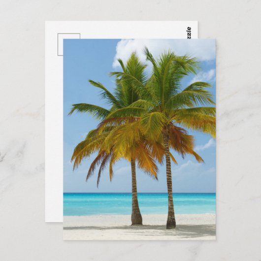 Carte Postale Palmiers pittoresques sur une plage tropicale (Devant / Derrière)