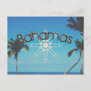 Carte Postale Palmiers Près De L'Océan