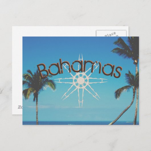 Carte Postale Palmiers Près De L'Océan (Devant / Derrière)