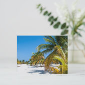 Carte Postale Palmiers sur la plage de l'océan (Debout devant)