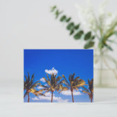 Carte Postale Palmiers sur la plage des Caraïbes, Riviera Maya T (Debout devant)