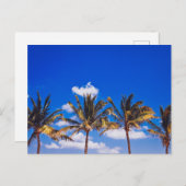 Carte Postale Palmiers sur la plage des Caraïbes, Riviera Maya T (Devant / Derrière)