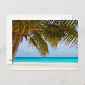 Carte Postale Palmiers sur la plage Mer Bleue & Ciel (Devant / Derrière)