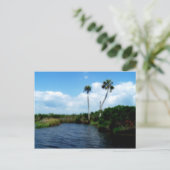 Carte Postale Palmiers Sur La Rivière (Debout devant)