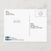 Carte Postale Palmiers tordus (Dos)