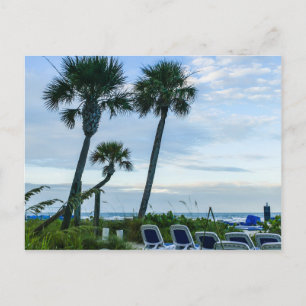 Carte Postale Palmiers tordus