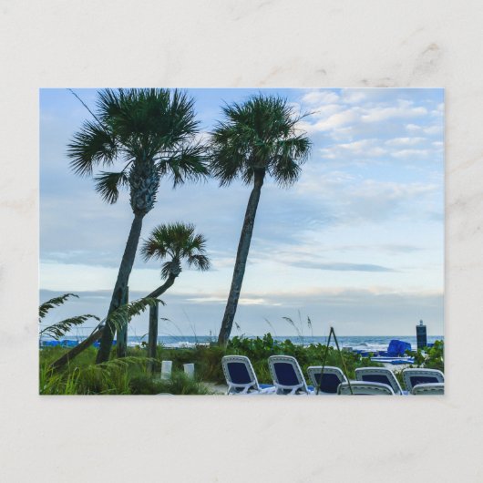 Carte Postale Palmiers tordus (Devant)