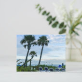 Carte Postale Palmiers tordus (Debout devant)