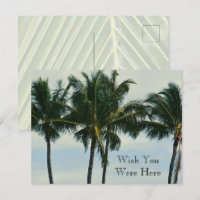 Palmiers tropicaux de Kauai Hawaii