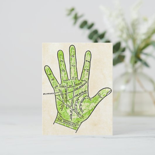 Carte postale Palmiste (Debout devant)