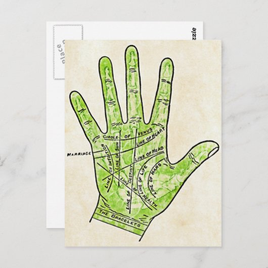 Carte postale Palmiste (Devant / Derrière)