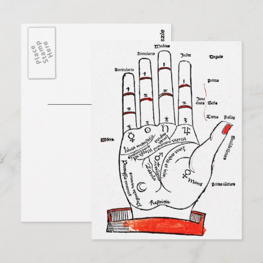 Carte postale Palmiste (Devant / Derrière)