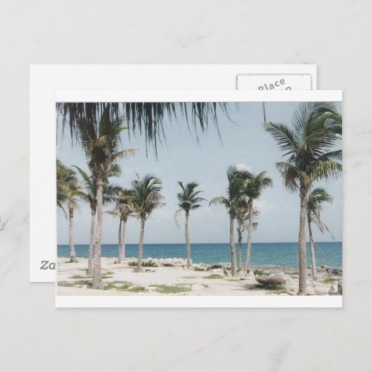 Carte Postale Palms de Cancun (Devant / Derrière)