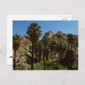Carte Postale Palms perdus Oasis I au parc national de Joshua Tr (Devant / Derrière)