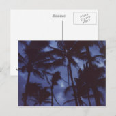 Carte postale PalmTrees (Devant / Derrière)