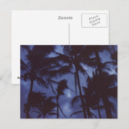 Carte postale PalmTrees (Devant / Derrière)