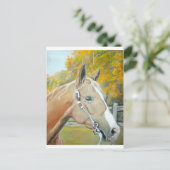 Carte Postale Palomino, Cheval pastel (Debout devant)