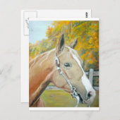 Carte Postale Palomino, Cheval pastel (Devant / Derrière)