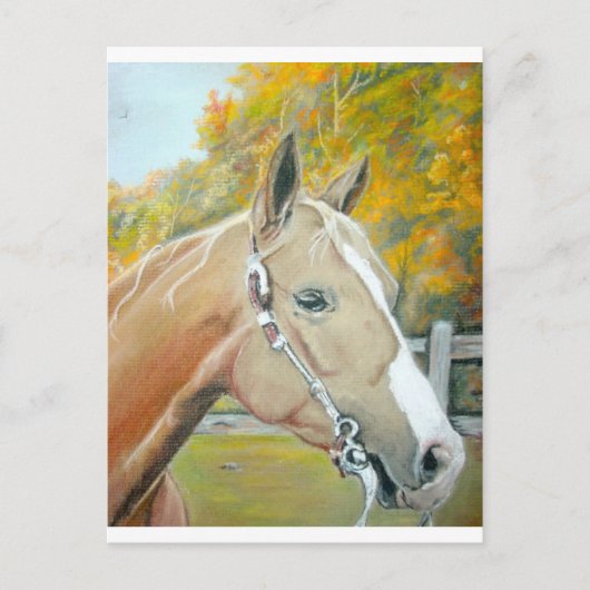 Carte Postale Palomino, Cheval pastel (Devant)
