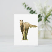 Carte Postale Palomino Horse (Debout devant)