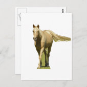Carte Postale Palomino Horse (Devant / Derrière)